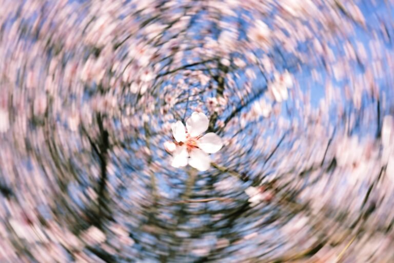 催眠課程的隱藏收費：報名前你應該問清楚的五個問題